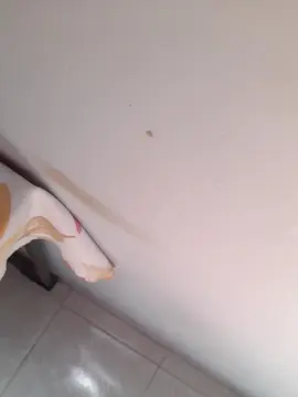 Cam4 Nude Webcam of Morenodiscret35