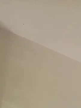 Cam4 Sex Chat of pocholo30