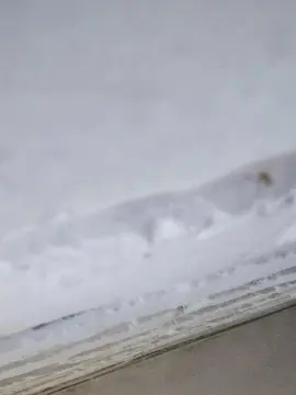 Cam4 Adult Video Chat of anamariaaran