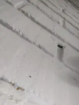 Cam4 Nude Webcam of anamariaaran