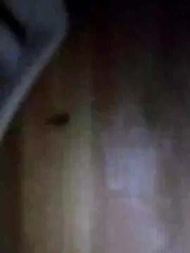 Cam4 Best Webcam of Dominic334