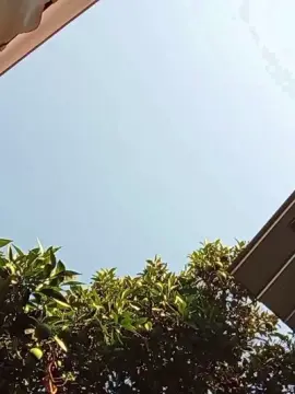 Cam4 Free Live Porn of mauriandresver1