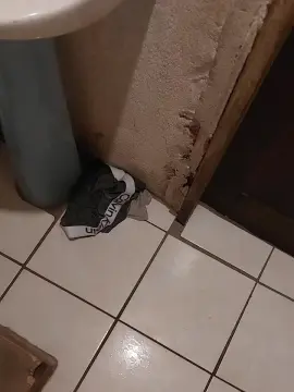 Cam4 Adult Webcam of santacatarina1