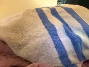 Cam4 Best live sex cam show of wetkittyy