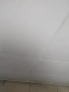 Cam4 Adult Video Chat of Aljo9869