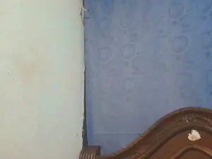 Cam4 Sex Chat of Kimi_Bigass