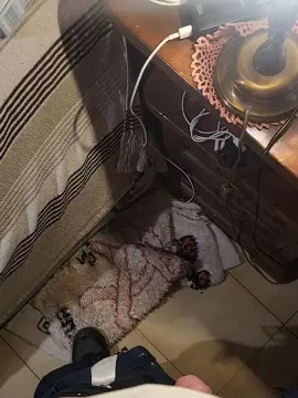 Cam4 Adult Webcam of dantecm5