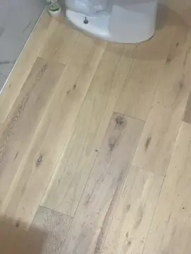 Cam4 Adult Video Chat of veridence619