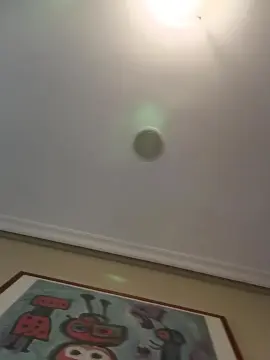 Cam4 Adult Video Chat of POLLONMUYLEFERO