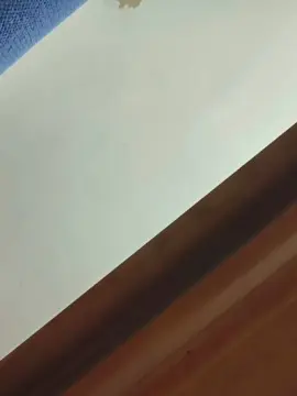 Cam4 Free Porn Cam of DEKER69