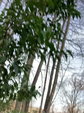 Cam4 Private Sex Chat of andreatoledo