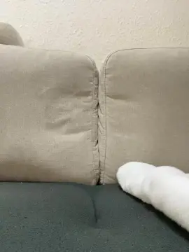 Cam4 Adult Webcam of Cumcontroll20