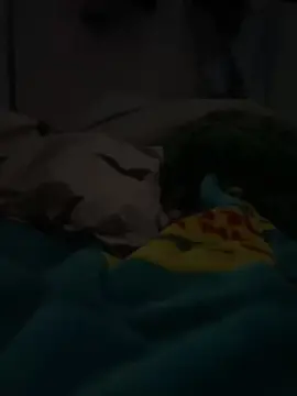 Cam4 Adult Video Chat of Spanit