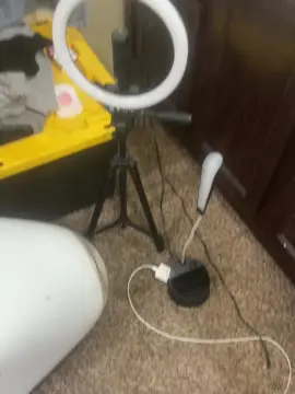 Cam4 Nude Webcam of ass8035