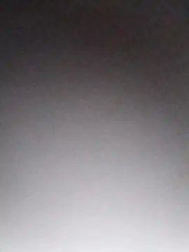 Cam4 Adult Video Chat of Feliblue