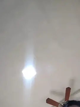 Cam4 Free Live Porn of Acocote