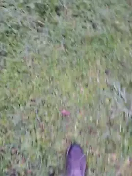 Cam4 Adult Webcam of lordladyfun4