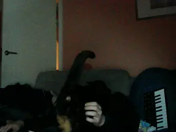 Cam4 Free Live Porn of HighRim420