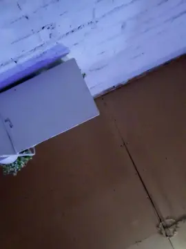 Cam4 Adult Webcam of Ikia24