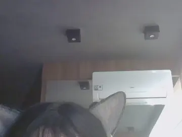 Cam4 Best Webcam of SkinnyKittenCam