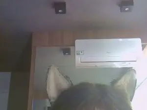 Cam4 Live Porn of SkinnyKittenCam