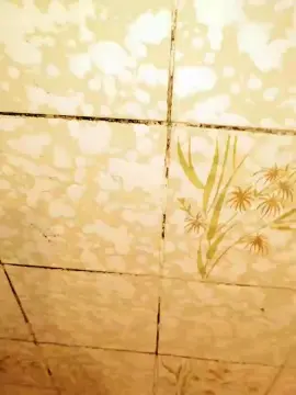 Cam4 Best Webcam of Mijaell