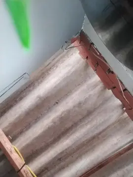 Cam4 Free Porn Cam of Paugrossopau