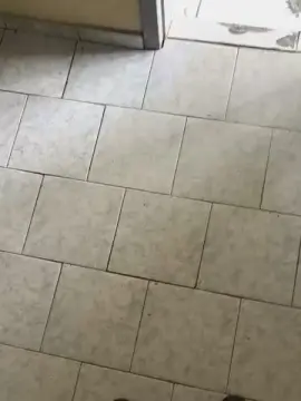 Cam4 Adult Webcam of Fodexana