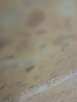 Cam4 Live Porn of cbavoyeur