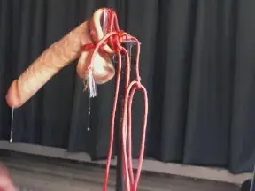 Cam4 Free Porn Cam of henk292