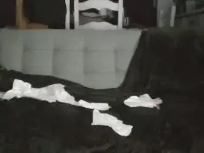 Cam4 Best Webcam of Chaudkoala