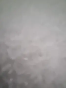 Cam4 Sex Cam of Leco88mg