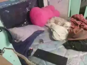 Cam4 Watch Live Sex Cams of Cumyoufull1