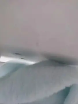 Cam4 Live Porn of Singingbull