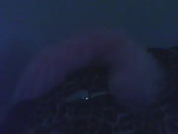 Cam4 Private Sex Chat of Crystal9898