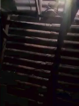 Cam4 Best Webcam of Trezecore