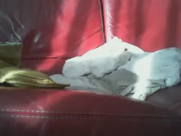 Cam4 Live Sex of bigdjou31