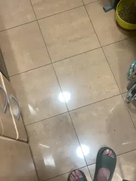 Cam4 Free Porn Cam of tego19