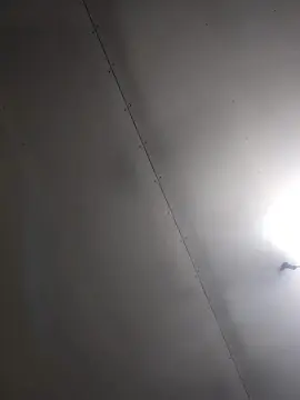 Cam4 Live Sex Cam of Nachocaliente