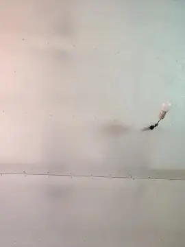 Cam4 Live Sex Cam of Nachocaliente