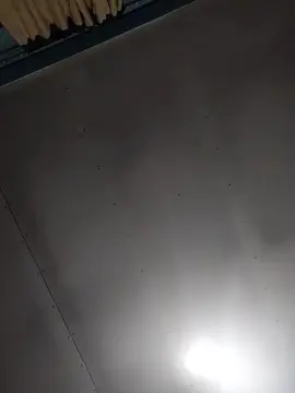 Cam4 Adult Webcams of Nachocaliente