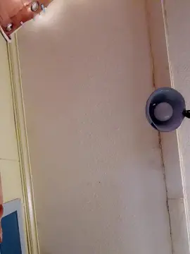 Cam4 Free Porn Cam of Plussizemodel