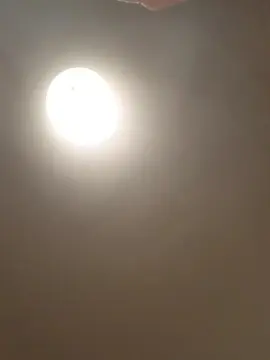 Cam4 Live Sex Cam of elleblue_sexy