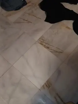 Cam4 Adult Webcams of Corridon