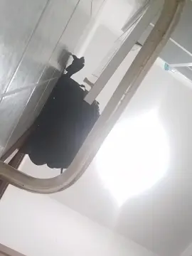 Cam4 Adult Webcams of Alessandro23z