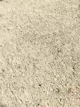 Cam4 Sex Cam of Salami44