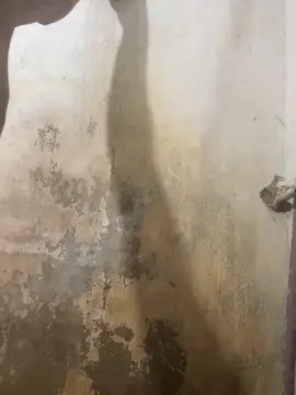 Cam4 Live Sex Cam of Pau_preto00