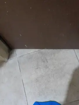 Cam4 Best Webcam of Elplayer25