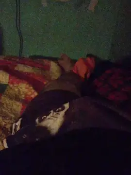 Cam4 Sex Chat of Kimnacho