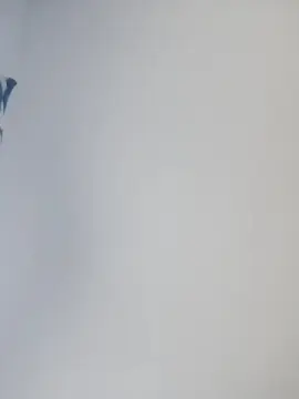 Cam4 Watch Live Sex Cams of grosso82